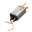 Voltage Converter