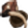 Chitin