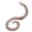 Earthworms
