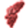Red Element Shard
