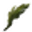 Seaweed