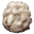 Wool
