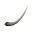 Ancient Rhino Horn