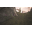 Asura's Glory