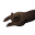 Bear Carcass