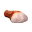 Cooked Pork Rinds
