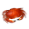 Cooked Savory Shellfish