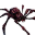 Corrupted Spider (Pet)