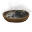 Devil's Bonemeal