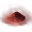 Dragonpowder