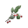 Highland Berries