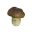 Puffball Mushroom