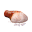 Salted Pork