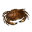 Savory Shellfish