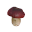 Shroom Amanita