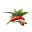 Spice