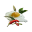 Spiced Egg