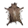 Thick Hide