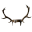 Vanir Fur Cap