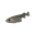 Ricefish