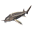 Sturgeon
