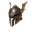 Belkandor Plate Helm