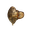 Ancient Shell Ring