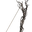 Bow of the Fleeting