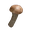 Pine Mushroom