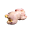 Lean Bird Meat