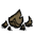 broken shell dst