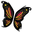 butterfly wings