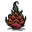dragon fruit
