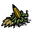 dried tillweed