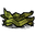 kelp fronds