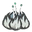 mourning glory