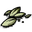 seeds
