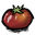 toma root