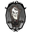 waxwell portrait