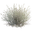 Plant Fiber