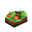Mushroom Salad