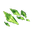 Ingredient Crystal Green