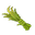 Plant Fiber