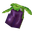Plant Crop Aubergine