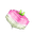 Plant Crop Turnip