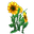 Plant Flower Tall Yellow