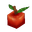 Plant Fruit Apple