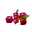Plant Fruit Berries Red