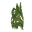 Dark Green Hanging Moss