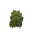 Plant Moss Green Dark